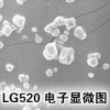 台湾中釉LED荧光粉 白光荧光粉 CN-LG520