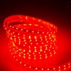 LED软条灯 SMD 3528软灯条 60灯/米 套管 防水