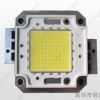 供应LED大功率0.5W-300W灯珠