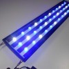 喜浪照明0.9米108瓦大功率LED水族灯