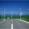 专业生产国内顶级LED节能路灯