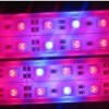 LED植物灯 28W 防水 5050红蓝配比 LED育苗灯