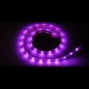 390-410NM紫光LED发光二极管供应