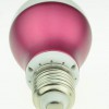 康尚可换式电源LED-5W球泡灯