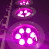 5W紫色光led投光灯，大功率led紫色投光灯